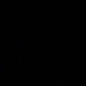 Meet your Posher, Nathan